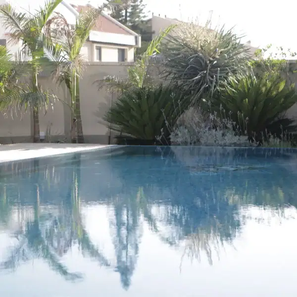 בריכות בטון בכל הארץ - ספיר בריכות שחיה בריכות בטון בכל הארץ