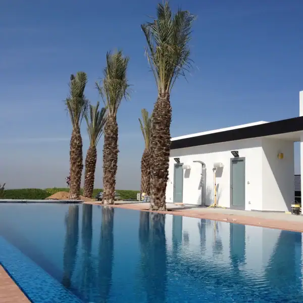 בריכת בטון מוארת וצבעונית - ספיר בריכות שחיה בריכת בטון מוארת וצבעונית