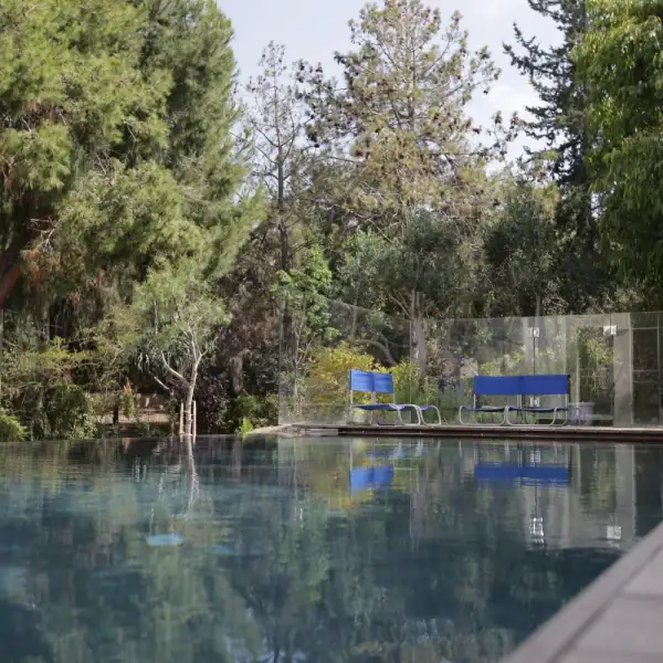 בריכת בטון בחצר - כמו בבית מלון יוקרתי - ספיר בריכות שחיה בריכת בטון בחצר - כמו בבית מלון יוקרתי